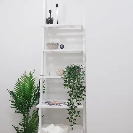 Apartment Culture Center Of Studio